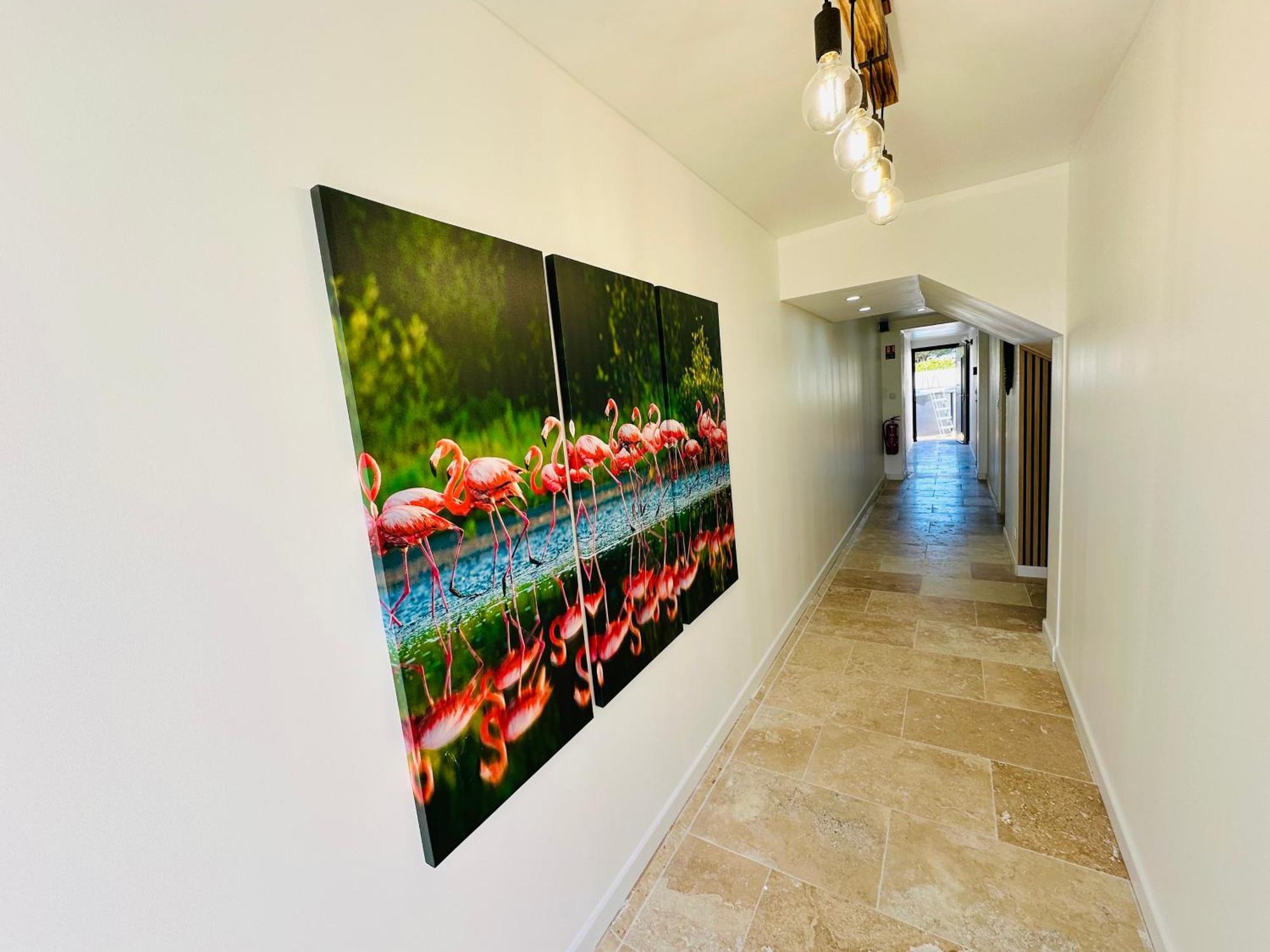 Les Appartements Du Mas - Rose Marie Aigues-Mortes Exterior photo