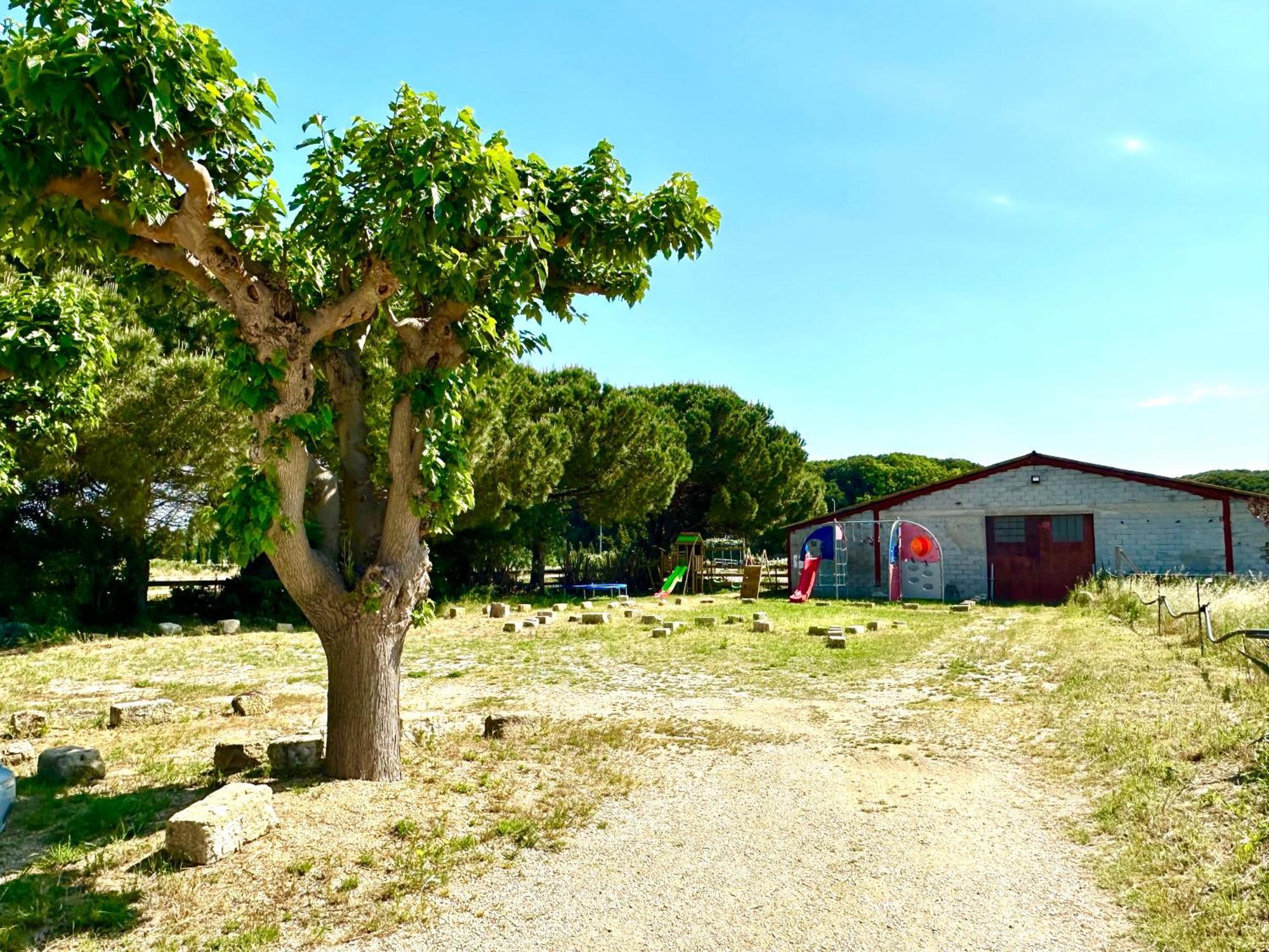Les Appartements Du Mas - Rose Marie Aigues-Mortes Exterior photo